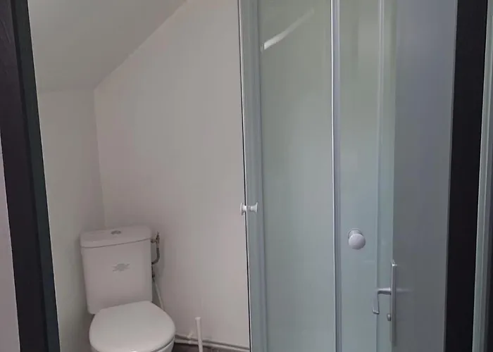 Joli T1 Bis Renove 아파트 *